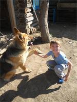 моя собака и мой сын