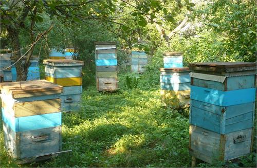 К вопросу, кто, чем занимается кроме копа.