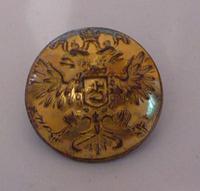 Позолоченная пуговица.