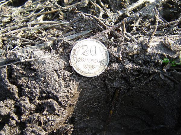 20 копееек только из земли