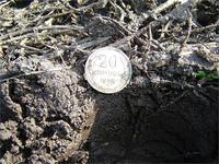 20 копееек только из земли