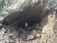 кулончик Божья Матерь Умиление