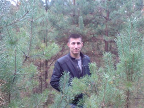 В ЛЕСУ