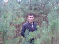 В ЛЕСУ