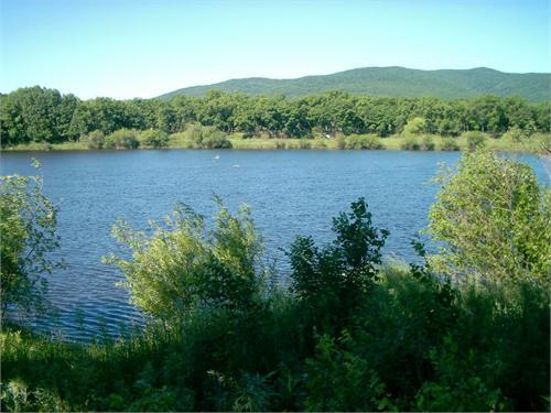 Красива дальневосточная природа, но любоваться ею лучше издалека