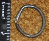 Серебряная сережка. Дальний Восток XIII-IX век