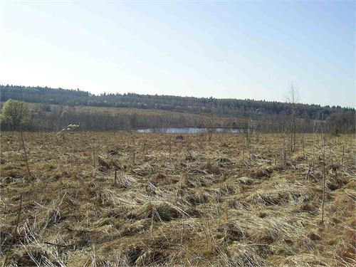 Перспективное местечко на весну 2012г.