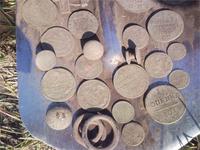 Пару огородиков.