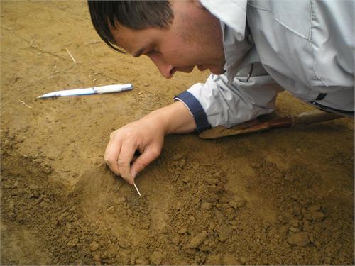 Кропотливая работа. Баяновский могильник, Добрянский р-он Пермского края, 2007 год.