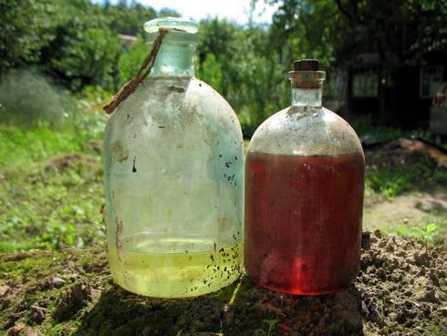 Бутылочки нашел Плющенко