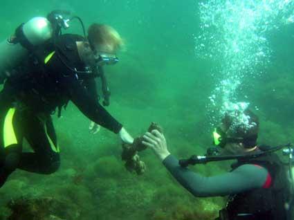аквалангисты в поисках клада