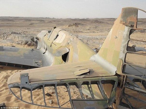 В пустыне Сахара нашли британский истребитель Р-40 Киттихоук времен Второй мировой войны.
