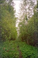 Где искать клады Старинные дороги 3