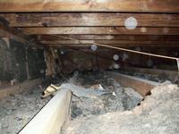 Поиск на чердаках пыльно гряжно но какие богатства скрываются под этой пылью