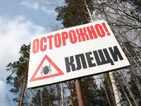 Оторожно клещи!