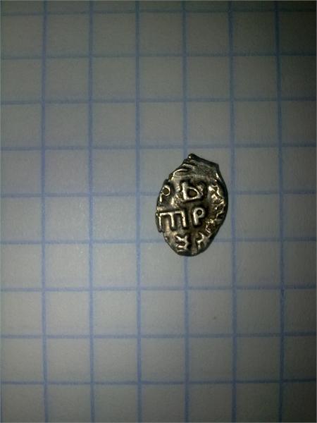 Чешуечка петра 1