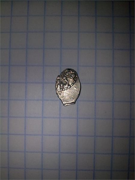 Чешуечка Петра 1