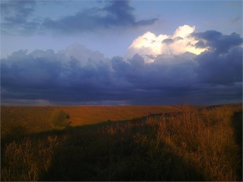 Курская область