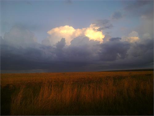 Курская область