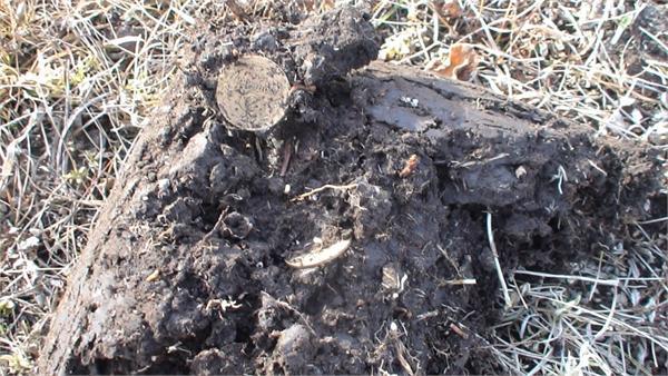 2 монеты ссср 3 копейки