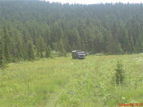 поляна в урочище Станок,возле ГМС Хамар-Дабан