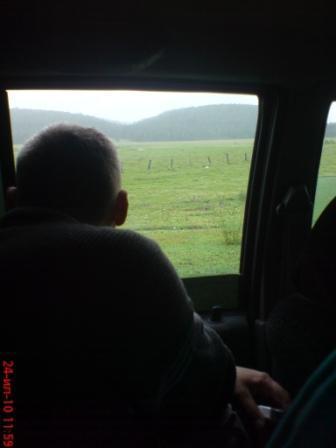 поле,дождь