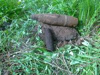 2 снаряда на заимке под Иркутском