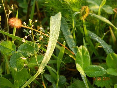 раннее утро