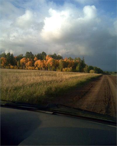 около Качуга