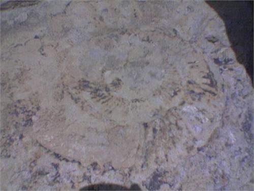 3589.jpg