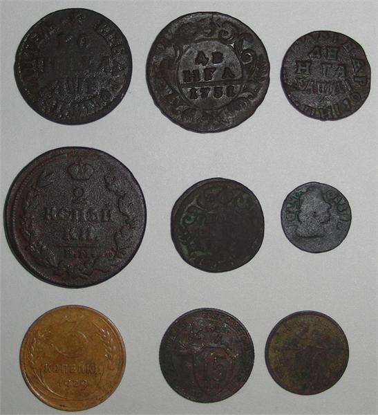 17146.jpg