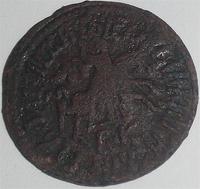 14917.jpg