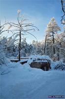 Усадба   Полушника      сгорел     2002 год.