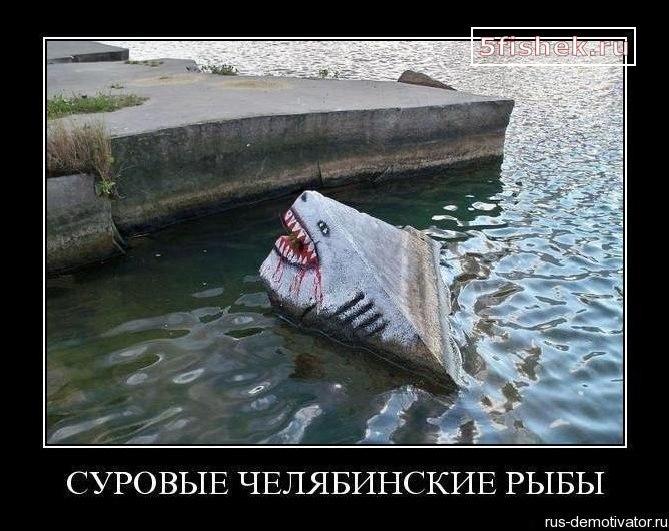 demotivator%20chelyabinsk%20(20)[1]