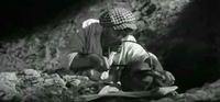 Pilite-SHura-pilite---270[1]