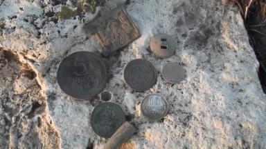 Находки одного дня.