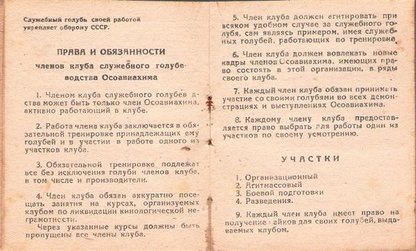 Права и обязанности голубевода