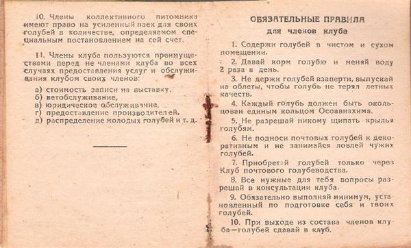 Обязательные правила клуба