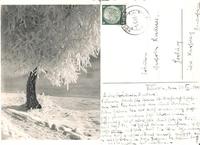 Немецкая открытка 1.1.1941г