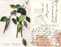 Немецкая открытка 10.6.1916г