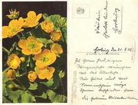 Немецкая открытка 21.5.1942г