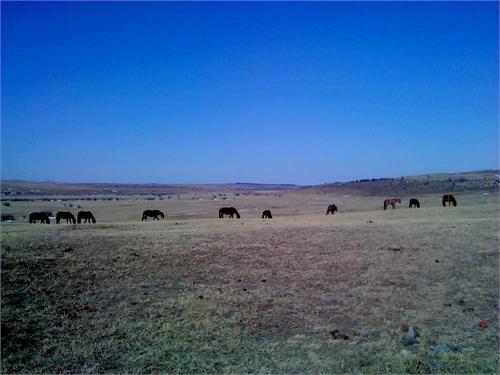 Киран-место уже практически без снега(2 апреля 2011 год)