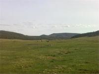 Вот она,старая деревня.Тут мы два дня и провели:)