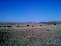 Киран-место уже практически без снега(2 апреля 2011 год)