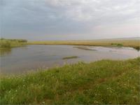 Утро на реке.У нас ни капли,а в Монголии всю ночь прогромыхало.