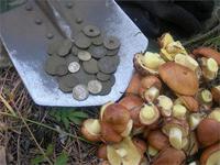 Две кучки находок в последнии дни уходящего лета :))))30 августа 2010 г.