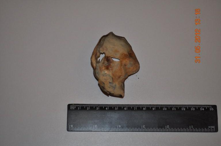 DSC_0854 [Разрешение рабочего стола]