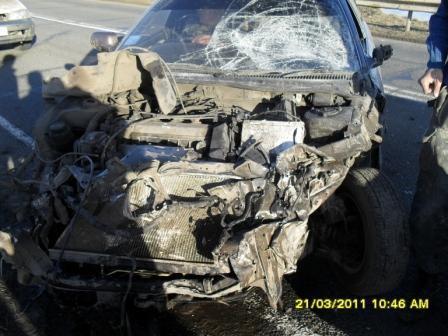 СЬЕЗДИЛИ ПОКОПАЛИ