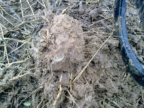 лёд тронулся сезон 2011 открыт