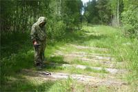 Екатерининский тракт Москва-Питербург вот тут звенит серебро в больших количествах